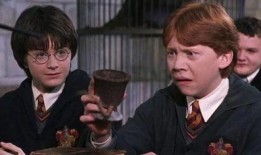 哈利波特爆料最新,魔法世界背后的惊人真相
